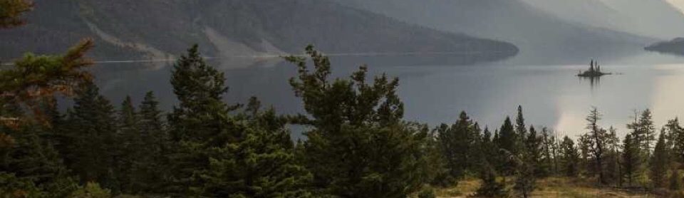 TAMIL SPARKS Latest news and Goosips